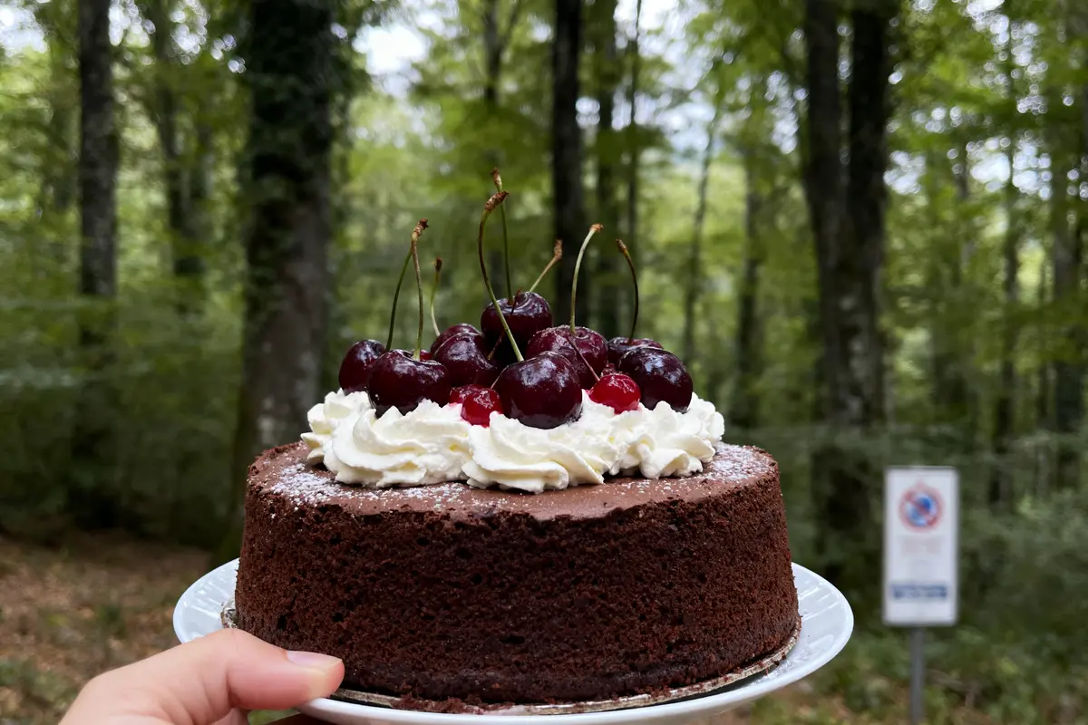 Gâteau au chocolat, chantilly et cerises fraîches, tenu en extérieur dans une forêt verdoyante.